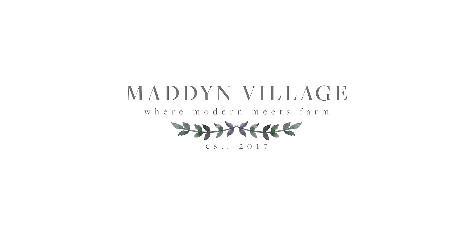 Maddyn Village logo